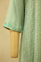Sage Green Hand Embroidered Semi- Stitched Salwar Set
