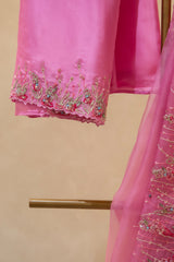 Hand Embroidered Pink Organza Saree