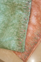 Hand Embroidered Printed Organza saree